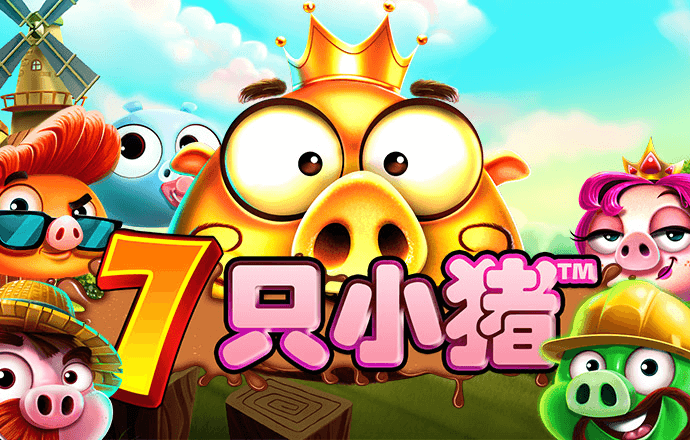新澳门王中王资料公开